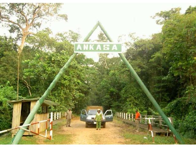 Ankasa Conservation Area Tour