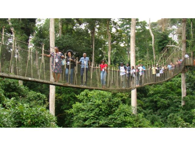 Kakum National Park Canopy Walk Tour